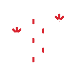 Cactus_Arizona Code Experts Cactus_Arizona Code Experts
